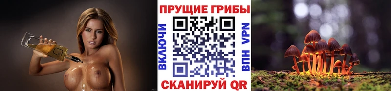 Галлюциногенные грибы мухоморы Судогда