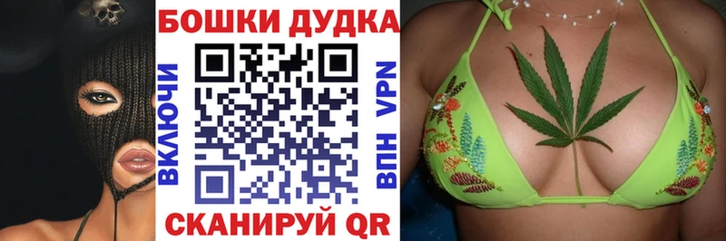 Бошки Шишки план Судогда