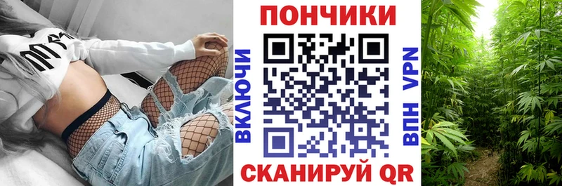 МАРИХУАНА семена  Судогда 